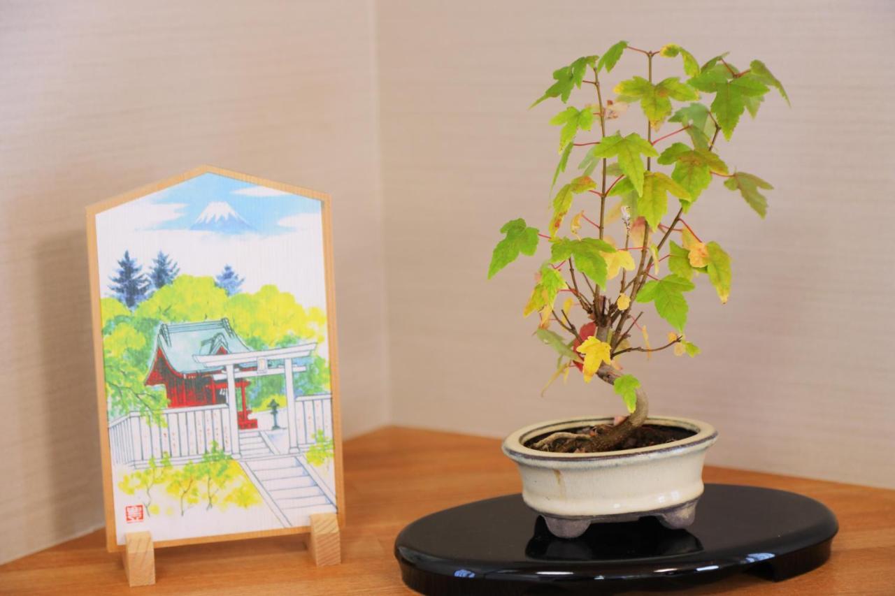Kitaguchi Tougakukan Fudžijošida Exteriér fotografie